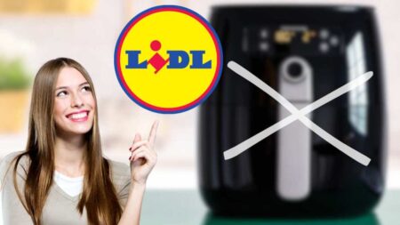 friggitrice ad aria logo lidl donna indica