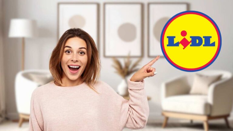 Ikea lo vende a prezzo pieno, Lidl quasi regalato: lo vogliono tutti logo lidl soggiorno donna indica